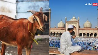 प्रतिबंधित जानवरों की कुर्बानी पर रोक, साफ-सफाई का पूरा ध्यान, वीडियो शेयर किया तो... बकरीद को लेकर पढ़ें देशभर की एडवाइजरी