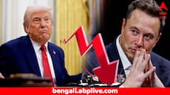 ট্রাম্পের সঙ্গে সংঘাতের জের ! একদিনেই ১৫,২০০ কোটির লোকসান এলন মাস্কের- কী ঘটেছে ?