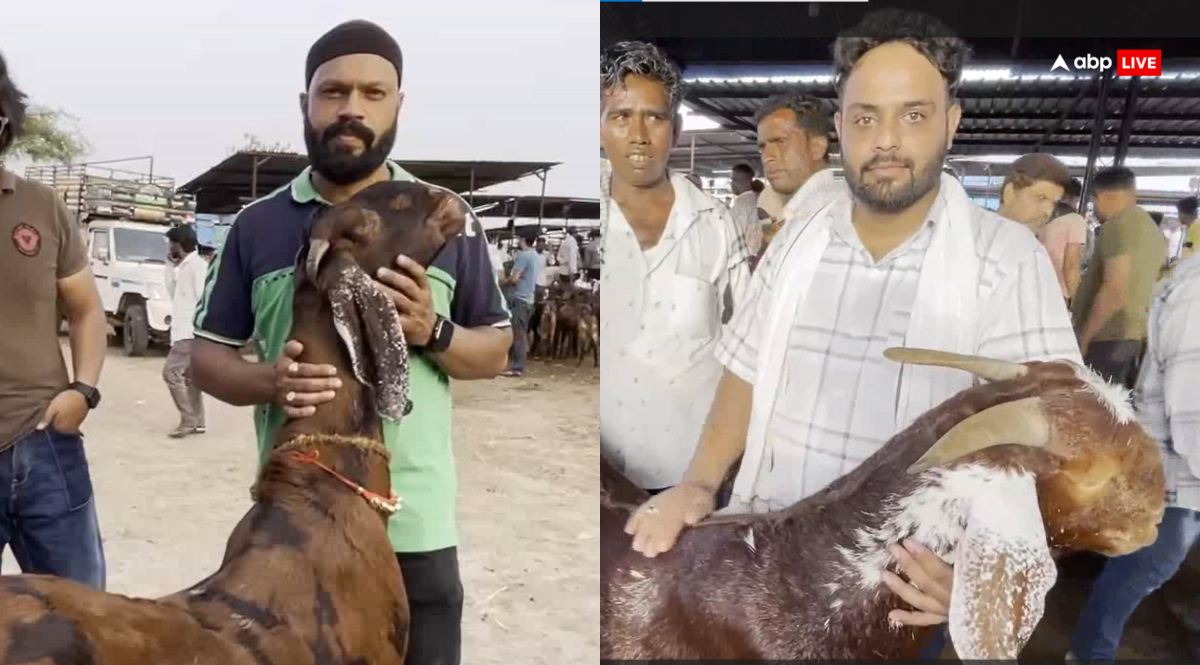 कोई खाता है काजू-बादाम तो कोई लॉन्ग, अजमेर की मंडी में दिखे 120 किलो के बकरे, लाखों में है कीमत