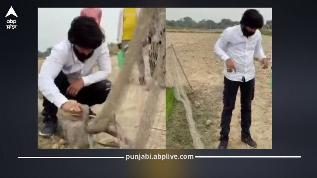 Famous YouTuber Murliwale Hausla in ICU After King Cobra Bite, Fans Worried ਮਸ਼ਹੂਰ ਯੂਟਿਊਬਰ ਨੂੰ ਲੈ ਕੇ ਮਾੜੀ ਖਬਰ! ICU 'ਚ ਭਰਤੀ, ਕਿੰਗ ਕੋਬਰਾ ਨੇ ਡੰਗਿਆ, ਫੈਨਜ਼ ਚਿੰਤਤ