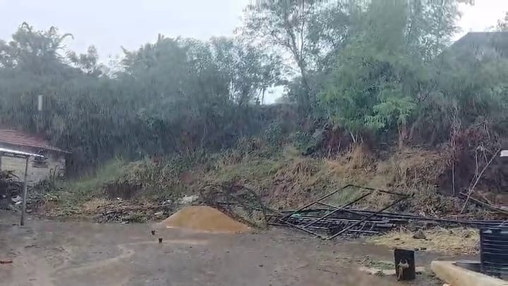 વરસાદના કારણે વાતાવરણમાં નોંધપાત્ર પલટો આવ્યો છે. ગરમી અને બફારાથી ત્રસ્ત લોકોને મોટી રાહત મળી છે. ખેડૂતો માટે આ વરસાદ ખાસ મહત્વનો છે, કારણ કે તે વાવણી પહેલાની (Pre sowing) જમીનની તૈયારી (Soil Preparation) માટે અનુકૂળ પરિસ્થિતિઓનું (Favorable Conditions) નિર્માણ કરશે.