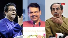 उद्धव ठाकरे के बयान पर राज ठाकरे की पार्टी बोली, 'समय बताएगा', CM फडणवीस और कांग्रेस ने क्या कहा?