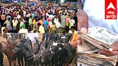 பக்ரீத் விற்பனை களைகட்டியது! ஆடுகள் விற்பனை இத்தனை கோடியா..? - எங்கு தெரியுமா?