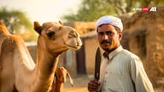 किन जानवरों की कुर्बानी पर कई राज्यों में लगी रोक, नहीं मानने पर कितनी मिलेगी सजा?