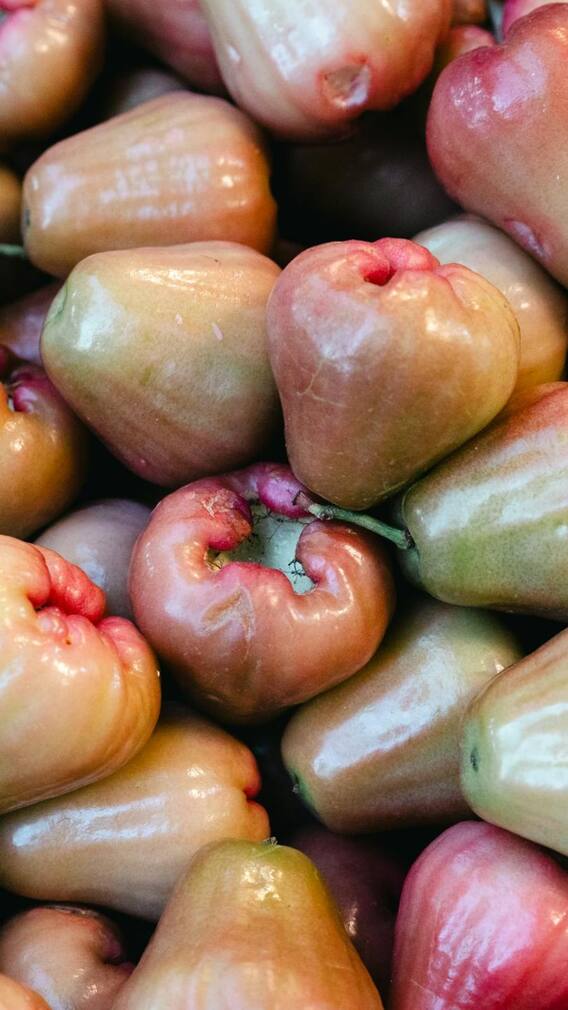 ডিহাইড্রেশনের আশঙ্কা? জলের ঘাটতি মেটাবে এই ফল