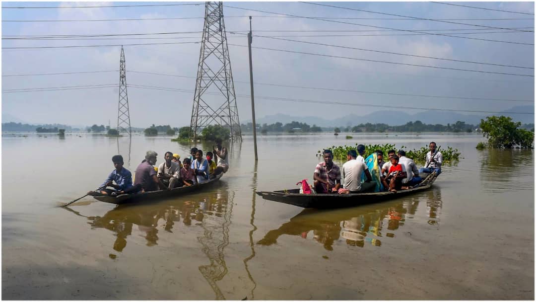 Assam Floods Displace Over 5.6 Lakh People Across 16 Districts, Wildlife Also Hit Assam Floods Displace Over 5.6 Lakh People Across 16 Districts, Wildlife Also Hit