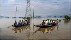 Assam Floods Displace Over 5.6 Lakh People Across 16 Districts, Wildlife Also Hit