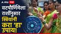 Vat Purnima 2026 : वटपौर्णिमेला राशींनुसार स्त्रियांनी करा 'हा' उपाय; वाचा वटसावित्री सणाची पूजा, विधी आणि महत्त्व