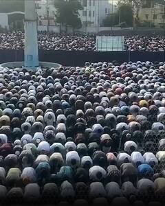 Tamilnadu: कोयंबटूर में बकरा ईद के लिए नमाज अदा की | ABP NEWS SHORTS