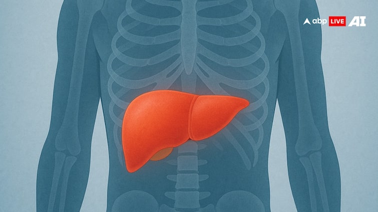Liver Health tips Microplastics and Nanoplastics particles in food and drinks can harm your liver सावधान! आपके भोजन मौजूद प्लास्टिक कण ले लेंगे आपकी जान! लिवर को पहुंचा सकते हैं नुकसान- स्टडी