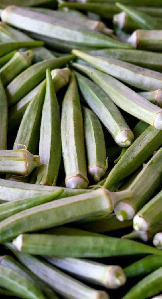 भारत के किस राज्य में मिलती है लाल भिंडी?