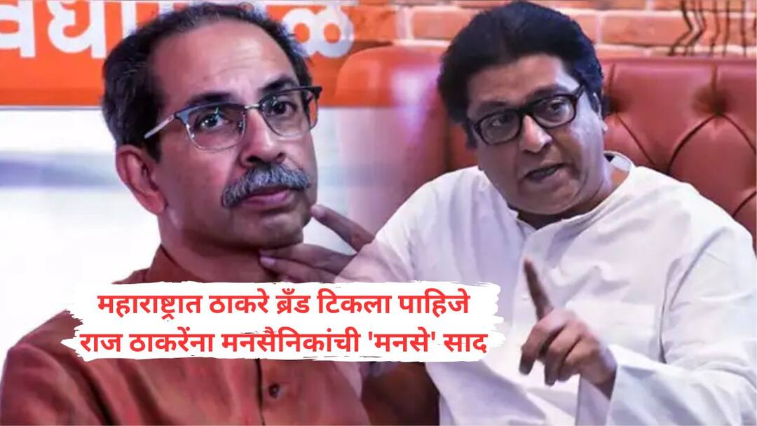 The distance between Raj and Uddhav increased the bullying of Kirit Somaiya Kangana Ranaut workers expressed their feelings towards Raj Thackeray ठाकरे ब्रँड टिकला पाहिजे, दोन भावांमधील दुराव्यानं किरीट सोमय्या, कंगना राणावतसारख्या परप्रातीयांची दादागिरी वाढली; राज ठाकरेंना मनसैनिकांची 'मनसे' साद