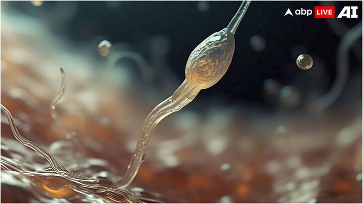 अगर आप भी लंबे समय से प्रेग्नेंट होने की कोशिश कर रही हैं तो आपको अपने ओव्यूलेशन पीरियड और स्पर्म के बारे में सही जानकारी होनी चाहिए. यह जानकारी आपको प्रेग्नेंट होने में मदद कर सकती है.