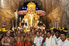 Gaja Vahana Seva: రణరంగంలో అయినా రాజదర్బారులో అయినా అగ్రస్థానంగా నిలిచే వాహనంపై అందరివాడు!