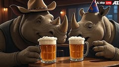 Rhinos Need Chilled Beer To Chill On A Hot Summer Afternoon! Watch This Viral Video