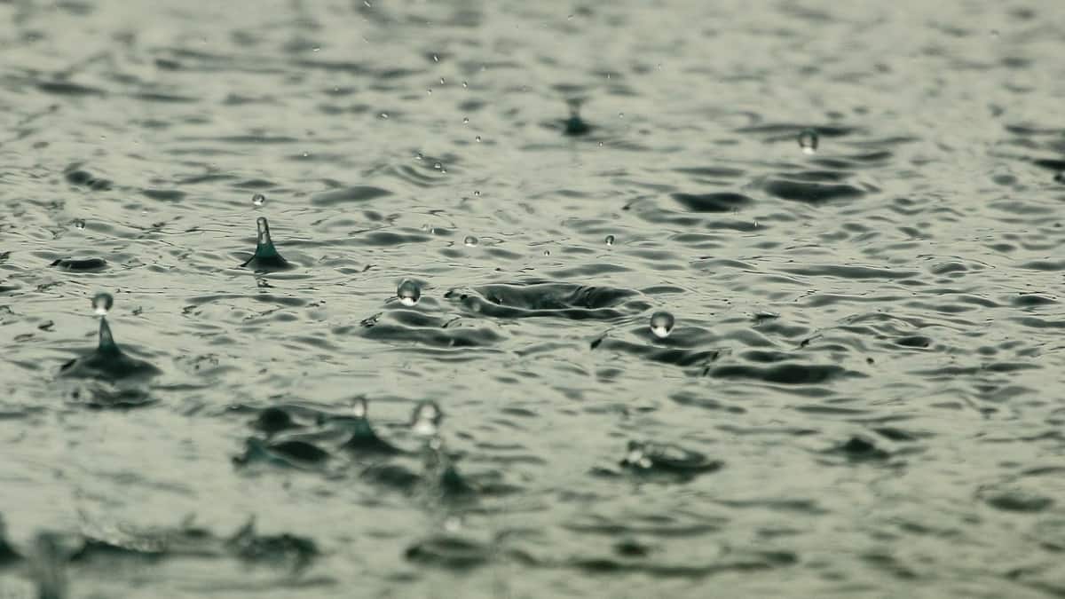 Tamil Nadu Braces For Heavy Rain From June 10–13; Chennai To See Light Showers Tomorrow