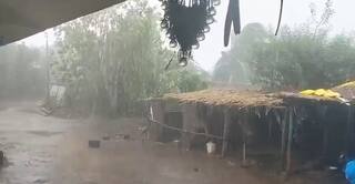 Amreli Rain: અમરેલી જિલ્લાના વાતાવરણમાં પલટો, રાજુલા શહેર અને ગ્રામ્ય વિસ્તારોમાં વરસાદ 