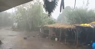 Amreli Rain: અમરેલી જિલ્લાના વાતાવરણમાં પલટો, રાજુલા શહેર અને ગ્રામ્ય વિસ્તારોમાં વરસાદ 