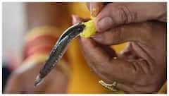 ఆది, సోమవారం నాంపల్లి ఎగ్జిబిషన్ గ్రౌండ్‌లో చేప ప్రసాదం పంపిణీ- భారీ ఏర్పాట్లు చేసిన తెలంగాణ ప్రభుత్వం