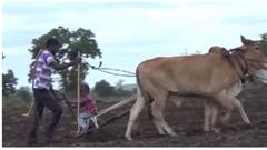 Farmers: आमच्या किडन्या घ्या! पण खत-बीयाणं घेण्यासाठी पैसे द्या; गोरेगाव शिवारातील शेतकऱ्यांची तहसील कार्यालयात मागणी