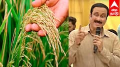 5 ஆண்டுகளில் ரூ.840 கோடி நெல் சேதம்: திமுக அரசு பொறுப்பேற்க வேண்டும் - அன்புமணி ராமதாஸ் குற்றச்சாட்டு