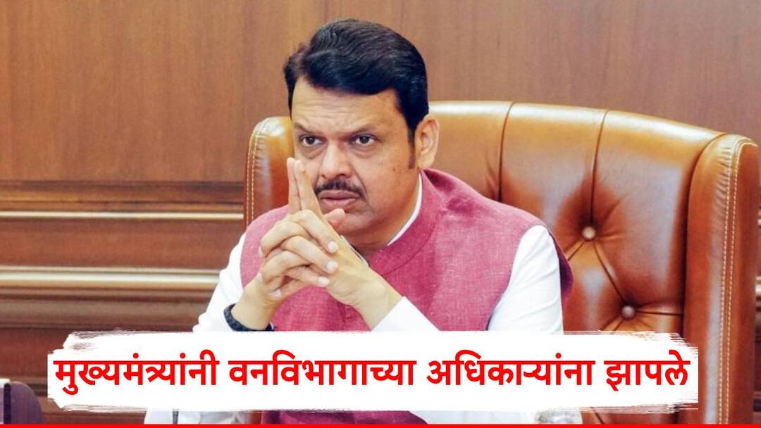 Devendra Fadnavis: कायद्याचे उल्लंघन झाल्याचे सांगत रस्ता खोदून टाकला; वनविभागाच्या अधिकाऱ्यांना देवेंद्र फडणवीसांनी झापले Devendra Fadnavis Road dug up saying it was a violation of the law Devendra Fadnavis slams forest department officials in gadchiroli Devendra Fadnavis: कायद्याचे उल्लंघन झाल्याचे सांगत रस्ता खोदून टाकला; वनविभागाच्या अधिकाऱ्यांना देवेंद्र फडणवीसांनी झापले