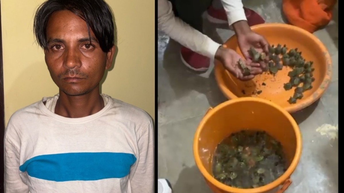 लखनऊ में इंटरनेशनल कछुआ तस्करी का भंडाफोड़, STF ने 102 जीवित कछुओं के साथ दबोचा
