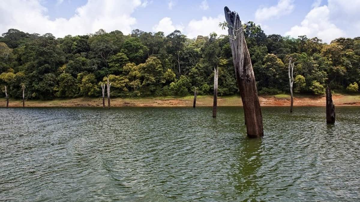 தேக்கடி படகு சவாரி மீண்டும் தொடக்கம்! அதிரப்பள்ளி நீர்வீழ்ச்சியில் குளிக்க அனுமதி: சுற்றுலா பயணிகள் உற்சாகம்!