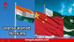 বড় ধাক্কা পাকিস্তানের, ভারতের সঙ্গেই গলা মেলাল চিন ! দিল বড় বার্তা