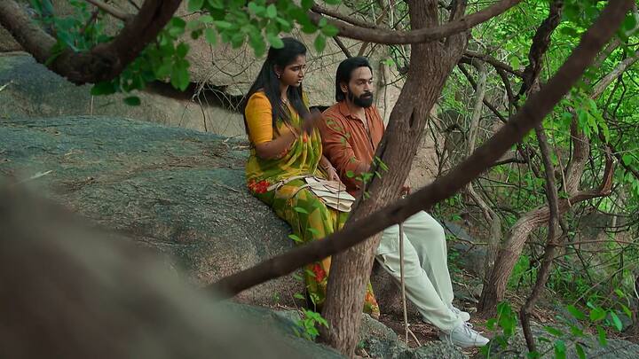 యామిని కుట్రకు రాజ్ బలికాకూడదు అని ప్లాన్ చేసి బయటకు తీసుకెళ్లిపోతుంది కావ్య. తీరా రౌడీలు తరమడంతో అడవిలో చిక్కుకుంటారు. పిచ్చి కాయలు తిని మత్తులోకి వెళ్లిపోతారు