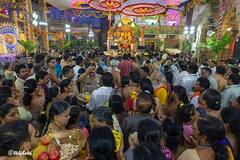 Garuda Vahana Seva: మాతృ భక్తి, ప్రభు భక్తి, సత్య నిష్ఠకి స్పూర్తిదాయకమైన భక్తుడి వాహనంపై గోవిందరాజస్వామి!