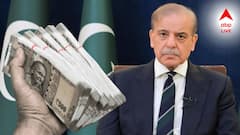 ঋণ পেয়েই নেতা-মন্ত্রীদের বেতন ৫ গুণ বৃদ্ধি করল শাহবাজ শরিফ সরকার? ফুঁসছে পাক নাগরিকরা