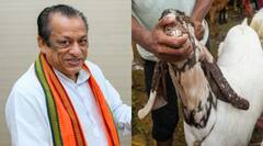 बकरीद के दिन कुर्बानी पर राजस्थान के मंत्री का बड़ा बयान- 'सनातन परंपरा में यह स्वीकार्य नहीं'