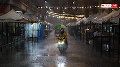 आसमान से अचानक बरसने लगते हैं मेंढक, कछुए और मछलियां, जानें क्या होती है एनिमल रेन