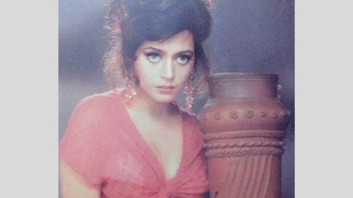 থিয়েটার, ছবি করলেও, হিন্দি সিরিয়ালই ঘরে ঘরে পরিচিতি দেয় সীমাকে। ‘কুরুক্ষেত্র’, ‘হাম সাত-আট হ্য়ায়’, ‘বিদাই’, ‘নাগিন’, ‘এক হাজারোঁ মেঁ মেরি বেহনা হ্যায়’, ‘হাসরতে’র মতো সিরিয়ালে অভিনয় করেছেন।