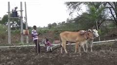 Farmers: आमच्या किडन्या घ्या! पण खत-बीयाणं घेण्यासाठी पैसे द्या; गोरेगाव शिवारातील शेतकऱ्यांची तहसील कार्यालयात मागणी