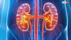 તમારી કિડનીને નહીં થાય કોઈ નુકસાન! આ ૮ દૈનિક ડિટોક્સ વસ્તુઓ કિડનીને રાખશે એકદમ સ્વસ્થ્ય