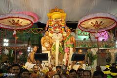 Gaja Vahana Seva: రణరంగంలో అయినా రాజదర్బారులో అయినా అగ్రస్థానంగా నిలిచే వాహనంపై అందరివాడు!