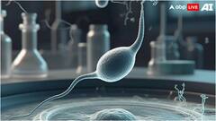 महिला के शरीर में कितने दिनों तक जिंदा रह सकता है स्पर्म? जवाब जानकर हैरान रह जाएंगे आप