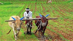 किस दिन जारी होगी किसान योजना की अगली किस्त, यहां करें पता