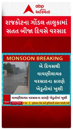 Rajkot Rains : રાજકોટના ગોંડલ તાલુકામાં સતત બીજા દિવસે વરસાદ, વાવણીલાયક વરસાદના કારણે ખેડૂતોમાં ખુશી