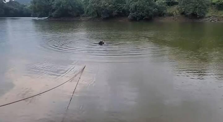 पावसाळ्याच्या सुरुवातीलाच लोकप्रिय पर्यटन स्थळ असलेल्या भुशी धरणाच्या बॅक वॉटरमध्ये बुडून झाल्यानं आगामी काळात पर्यटकांनी काळजी घेणं आवश्यक आहे.