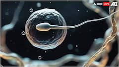 મહિલાના શરીરમાં કેટલા દિવસ સુધી જીવીત રહી શકે છે સ્પર્મ ? જવાબ જાણીને ચોંકી ઉઠશો તમે