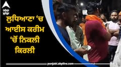 ਸਾਵਧਾਨ ਹੋ ਜਾਓ ਜੁਆਕੋ...! ਲੁਧਿਆਣਾ ‘ਚ ਆਈਸ ਕਰੀਮ ‘ਚੋਂ ਨਿਕਲੀ ਕਿਰਲੀ, 7 ਸਾਲ ਦੇ ਬੱਚੇ ਨੇ ਰੇਹੜੀ ਤੋਂ ਖ਼ਰੀਦੀ ਸੀ ਕੁਲਫੀ, ਹੋਇਆ ਜ਼ਬਰਦਸਤ ਹੰਗਾਮਾ