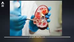 ਇਹ 3 ਚੀਜ਼ਾਂ ਕਿਡਨੀ ਨੂੰ ਅੰਦਰੋਂ ਪਹੁੰਚਾਉਂਦੀਆਂ ਨੁਕਸਾਨ, ਇਨ੍ਹਾਂ ਨੂੰ ਨਜ਼ਰਅੰਦਾਜ਼ ਕਰਨਾ ਮੌਤ ਨੂੰ ਬੁਲਾਵਾ; ਜਾਣੋ ਕਿਵੇਂ ਕਰਦੀਆਂ Kidney ਫੇਲ...