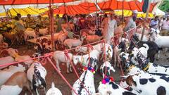 बकरीद पर दी मवेशियों की अवैध कुर्बानी, इस राज्य ने लिया बड़ा एक्शन, 16 लोग गिरफ्तार