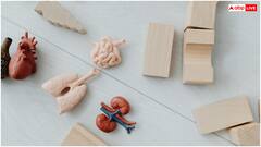 आपकी किडनी का नहीं होगा बाल भी बांका, ये 8 डेली डिटॉक्स चीजें किडनी को रखेंगी एकदम हेल्दी