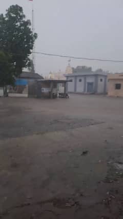Gondal rain: રાજકોટના ગોંડલ વિસ્તારમાં સતત બીજા દિવસે વરસાદ તૂટી પડ્યો, ખેડૂતો ખુશખુશાલ!