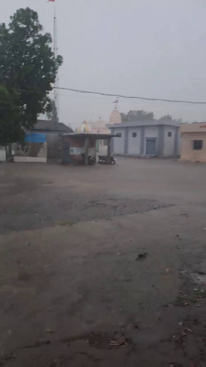 Gujarat Rain Alert: ગઈકાલે (૭ જૂન, ૨૦૨૫) પણ ગોંડલ તાલુકાના કેટલાક ગામડાઓમાં વાવણીલાયક વરસાદ નોંધાયો હતો. સતત બે દિવસથી પડી રહેલા આ વરસાદને કારણે ખેડૂતોમાં ખુશીનો માહોલ છવાયો છે.