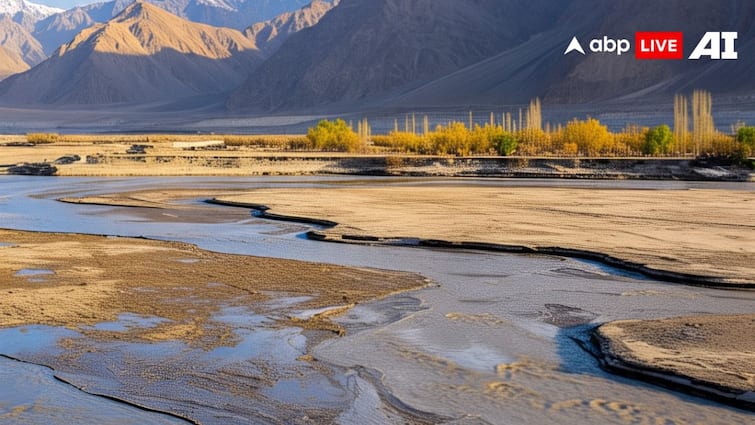 Indus Water Treaty suspend impact major Reservoirs Dams Water flow dropped sharply in Pakistan 15 फीसदी सूखे बांध... चिनाब नदी का पानी रुकने से पाकिस्तान में मचा हाहाकार, दिखने लगा असर